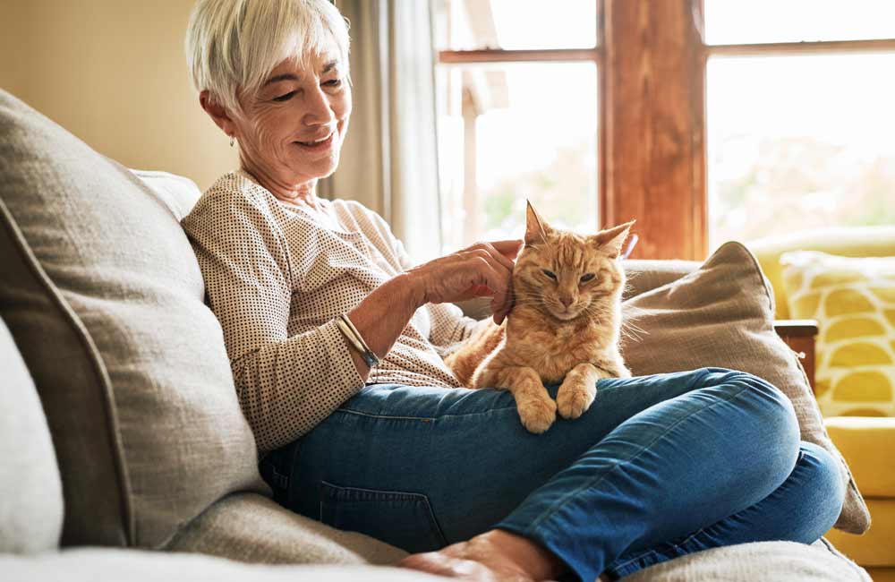 Elderly woman with short hair petting a ginger cat while sitting on a couch in a cozy living room.