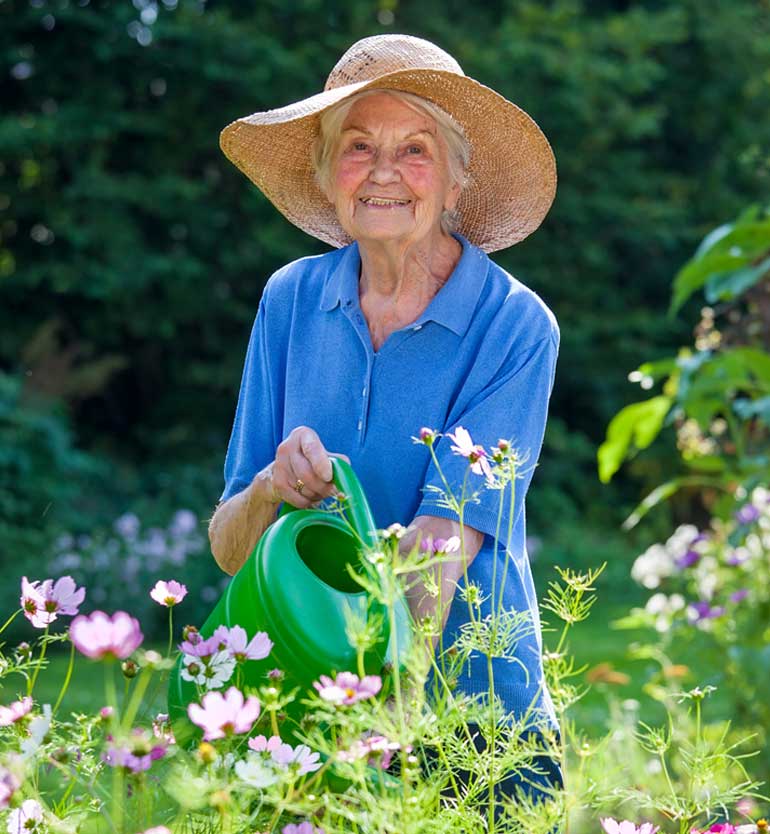 Elderly woman watering colorful flowers in a garden on a sunny day, wearing a straw hat.